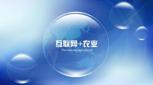 數(shù)字化賦能鄉(xiāng)村振興 互聯(lián)網(wǎng)與農(nóng)業(yè)融合發(fā)展及網(wǎng)絡(luò)信息安全保障